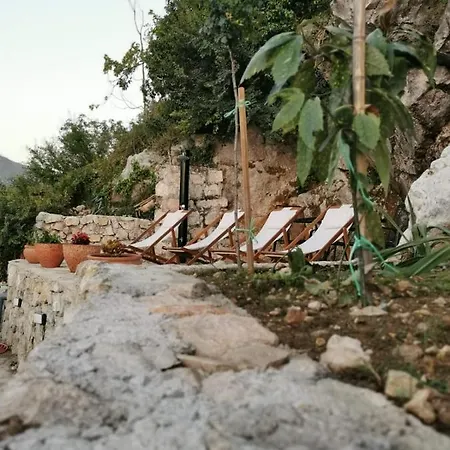 Old Sailor House *